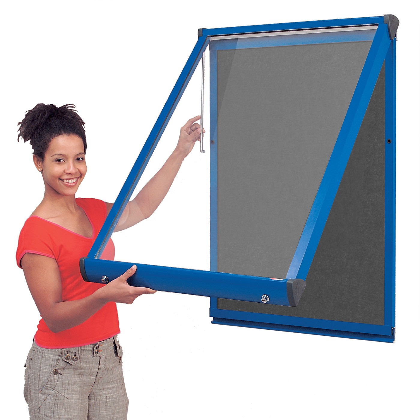 Firewall® Interior Showcase Fire-Resistant Noticeboard with Coloured Frame