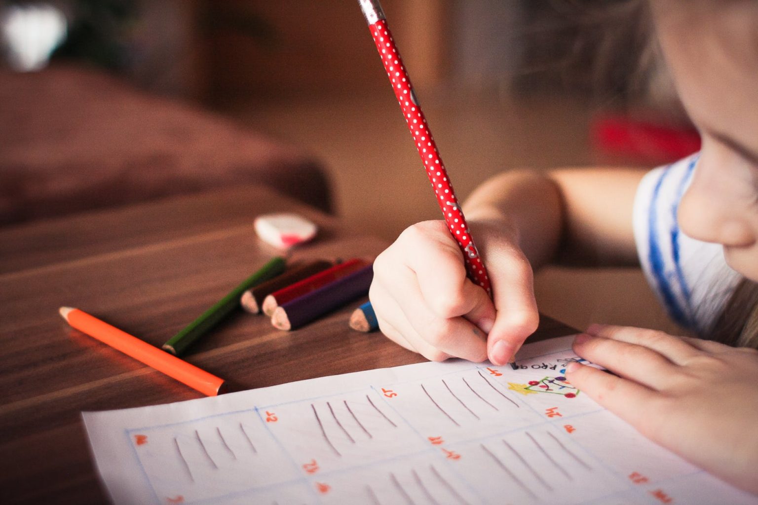 5 tips for Homeschooling Your Child