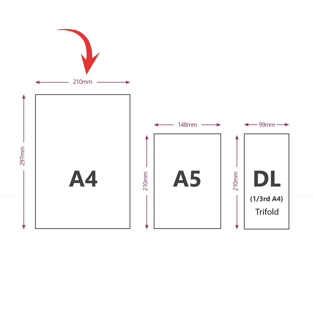 Expanda-Stand™ Leaflet Display - Coloured PVC Pockets Expanda-Stand™ Leaflet Display - Coloured PVC Pockets