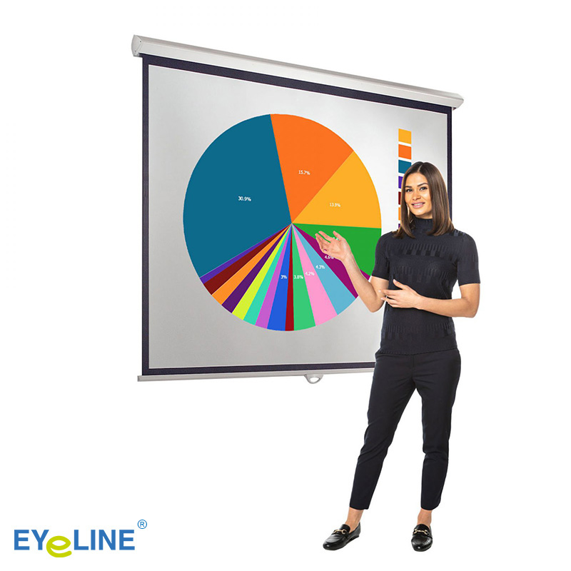 Superior Projection Screen 