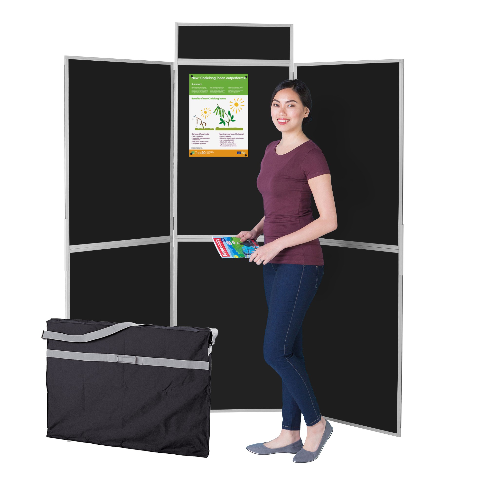Folding 6 Panel Display Kit - Plastic Frame Folding 6 Panel Display Kit - Plastic Frame