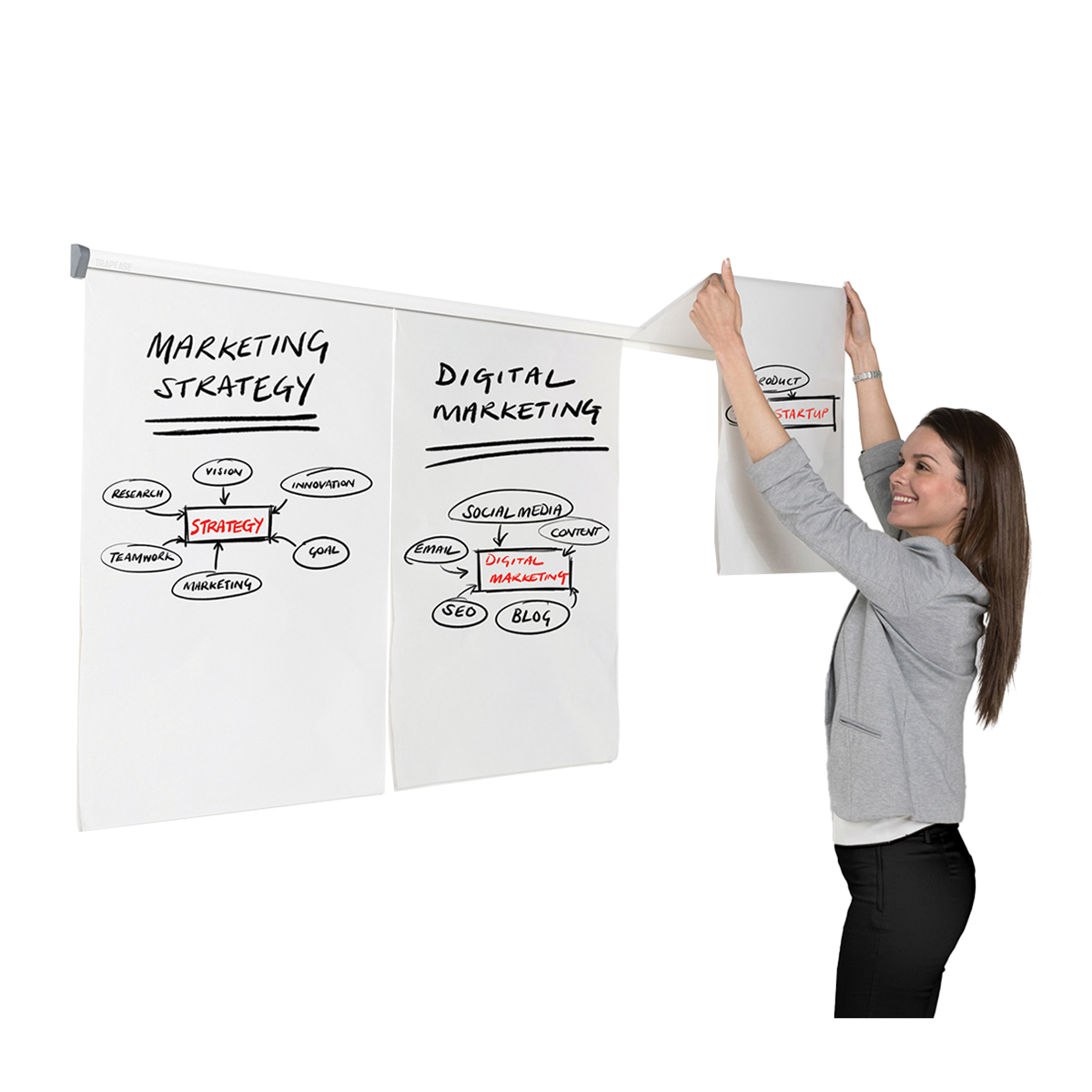 Trapease® Paper Hanging Rail System