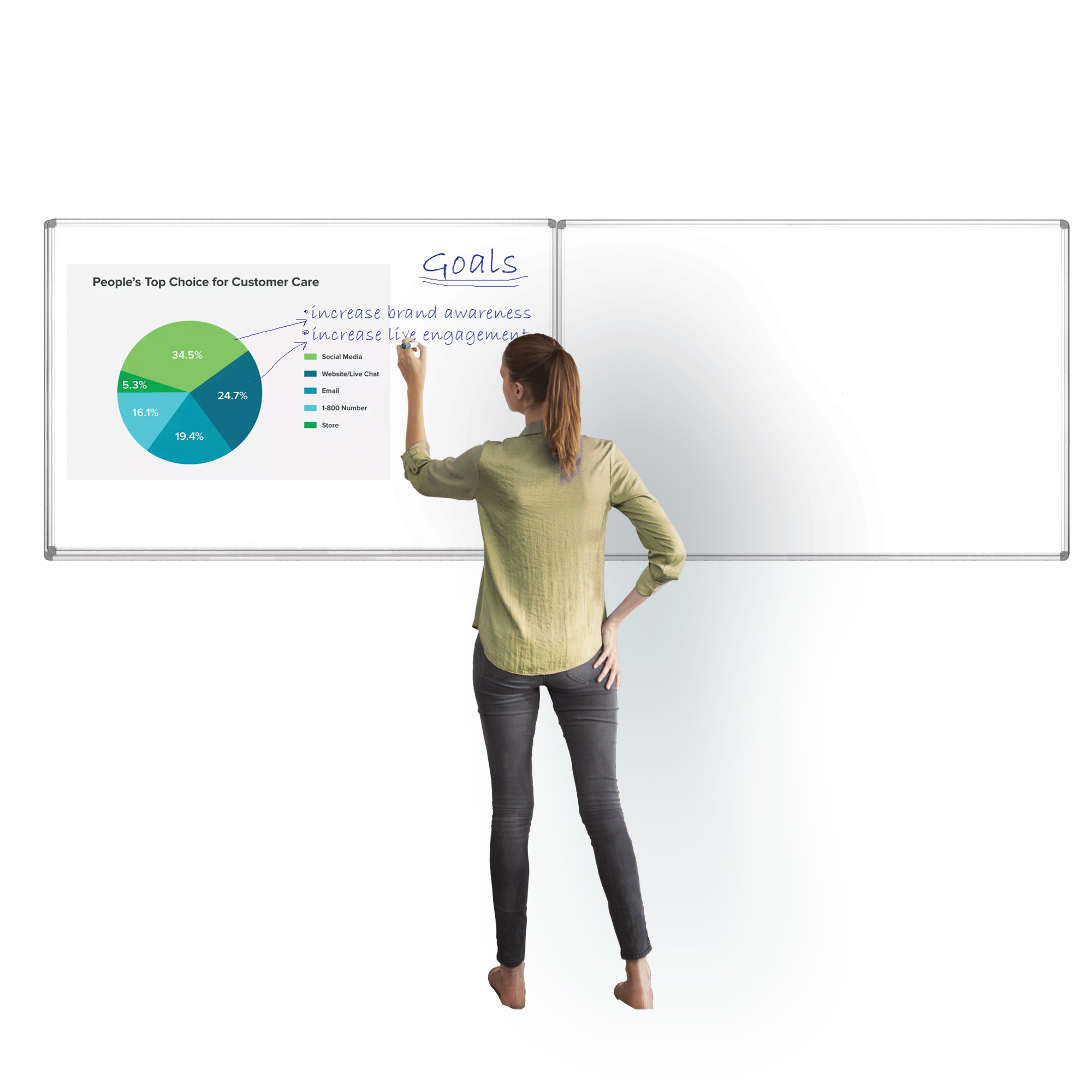 Projection Whiteboard Projection Whiteboard